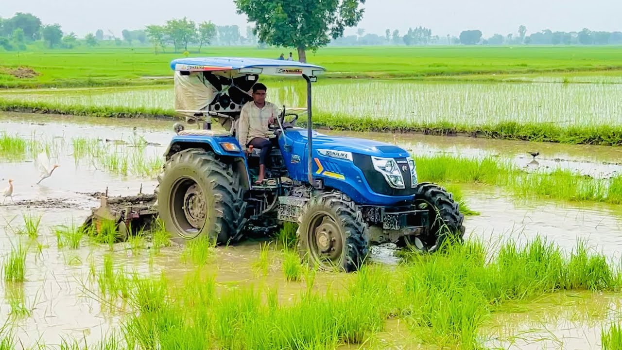 सोनालीका ट्रैक्टर ने लॉन्च किया ‘Book My Service’ फीचर: अब किसान ऑनलाइन जान सकेंगे ट्रैक्टर सर्विस कॉस्ट